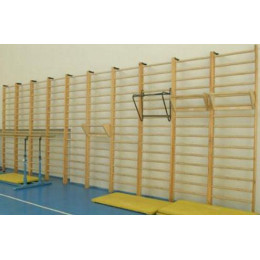 Спортивная стенка 3,0x0,8м 