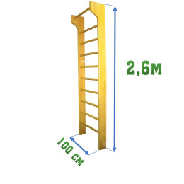Шведская стенка 2,6х1м с выносом 