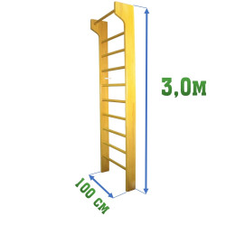 Шведская стенка 3,0х1м с выносом 